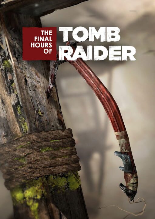 The Final Hours of Tomb Raider cover