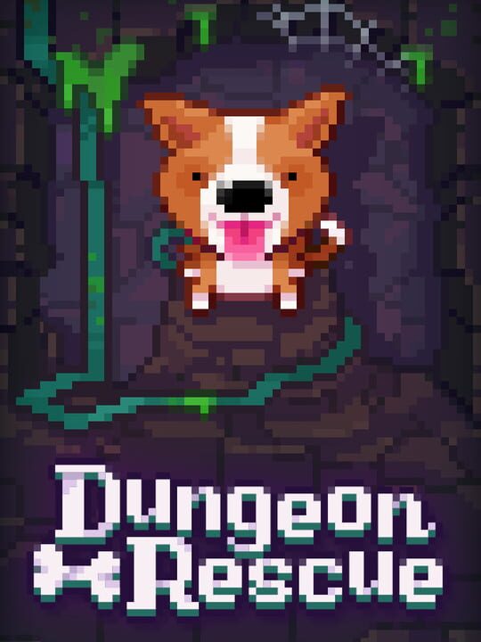 Fidel: Dungeon Rescue cover