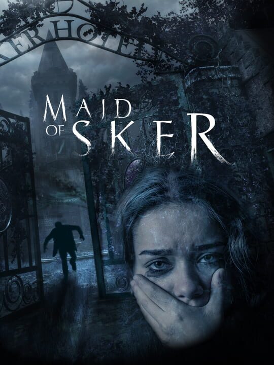 Maid of Sker cover