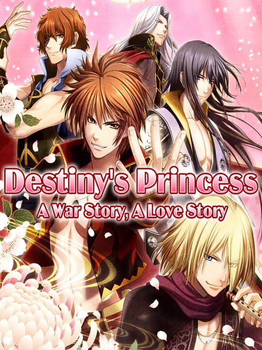 Destiny's Princess: A War Story, A Love Story cover