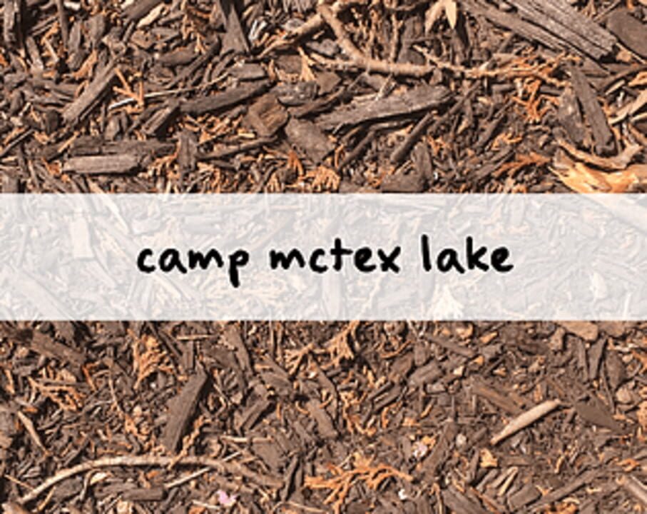 Camp McTex Lake cover art