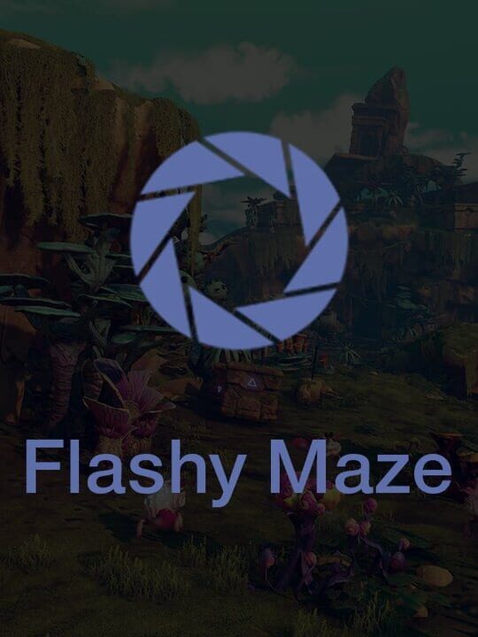 Flashy Maze cover art