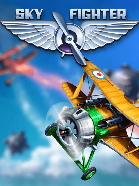 Sky Fighter cover art