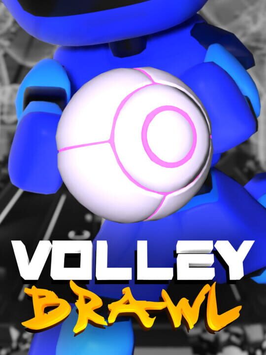 VolleyBrawl cover art