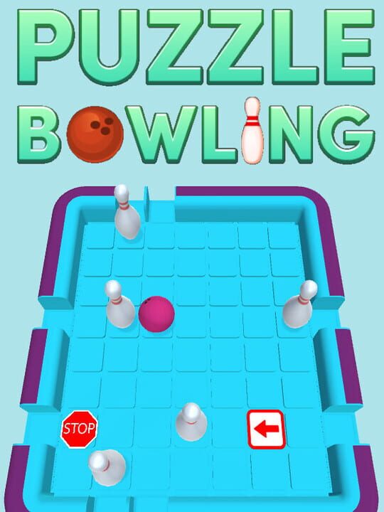 Puzzle Bowling cover art
