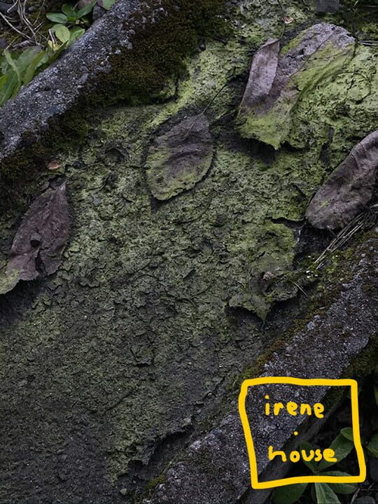 Irene.House cover art