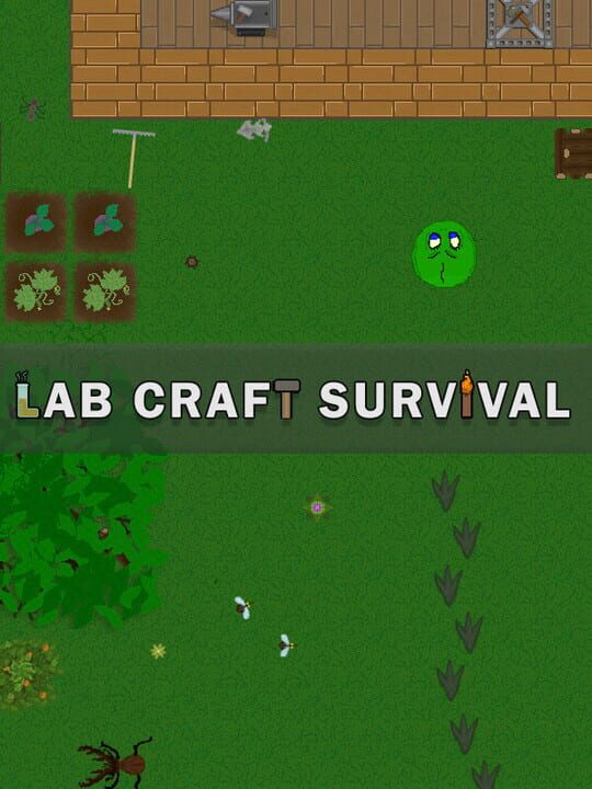 Lab Craft Survival cover image