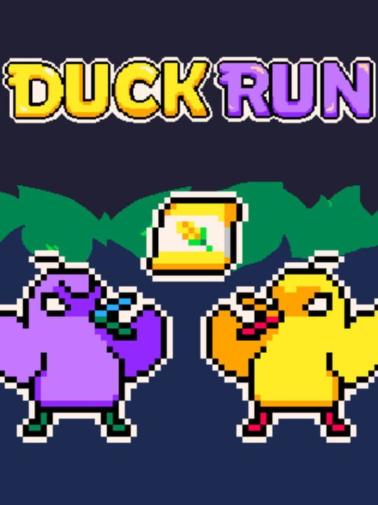 Duck Run cover