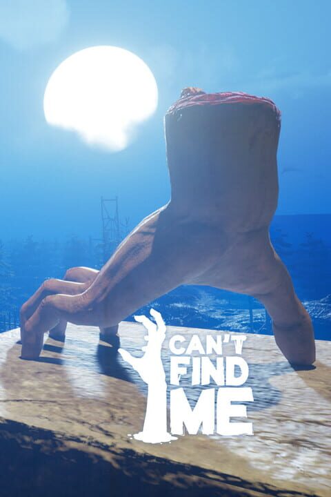 I Can't Find Me cover art