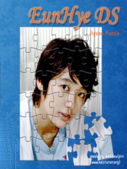 EunHye DS cover art