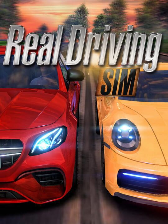 Real Driving Sim cover