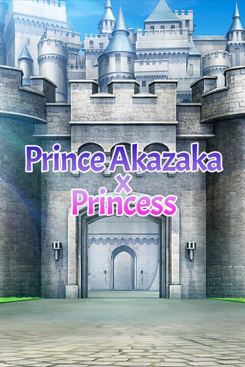 Prince Akazaka x Princess cover art