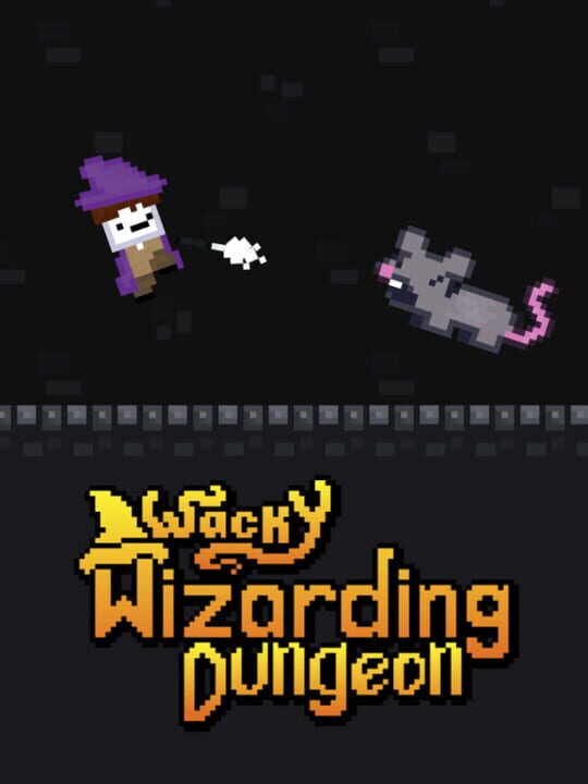 Wacky Wizarding Dungeon cover art
