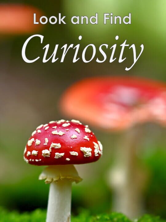 Look and Find: Curiosity cover art
