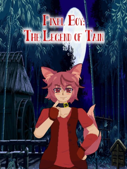 Pixel Boy: The Legend of Tain cover art