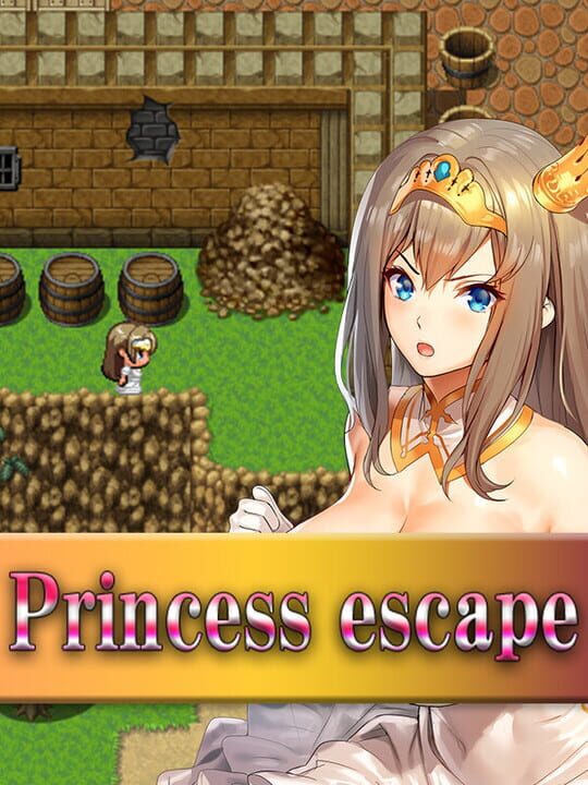 Princess escape cover art