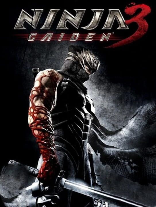 Ninja Gaiden 3 | Stash - Games tracker