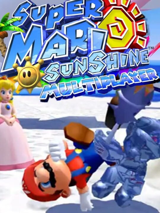 super mario sunshine 2 player