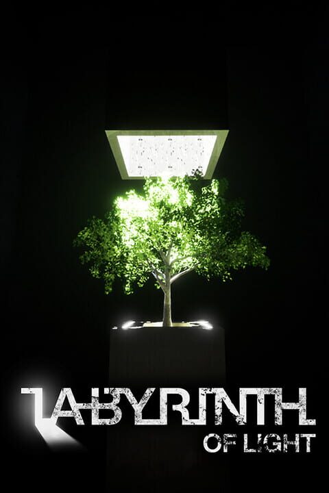 Labyrinth of Light cover art