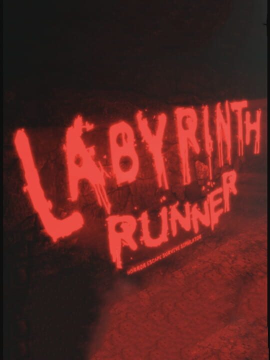 Labyrinth Runner cover