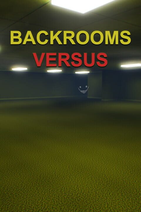 Backrooms VS cover art