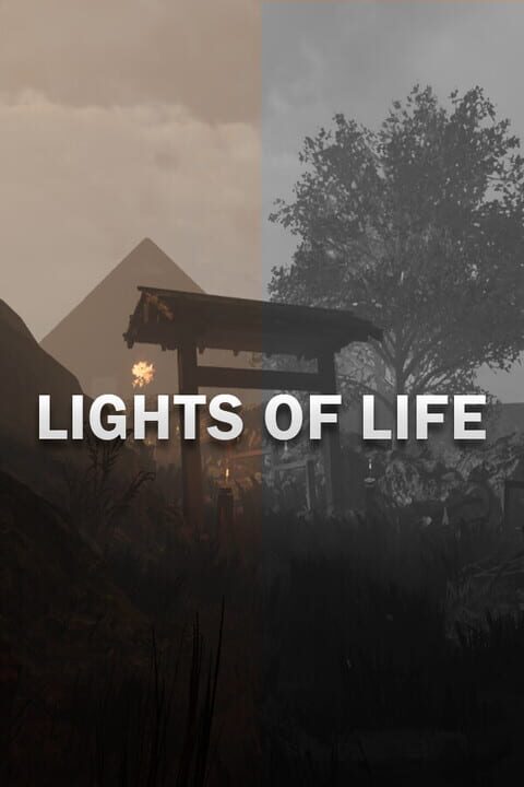 Lights of Life cover art