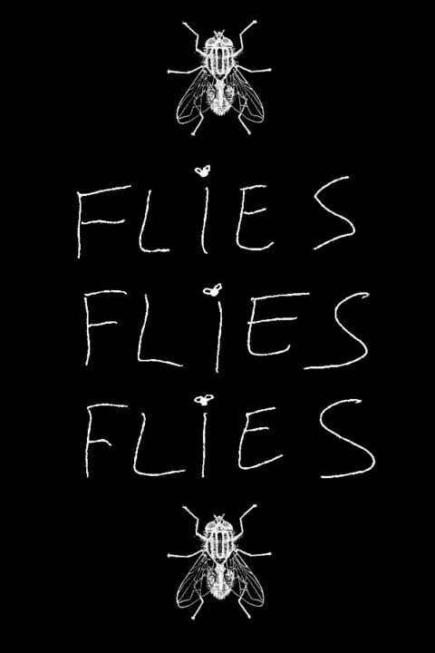 Flies Flies Flies cover art