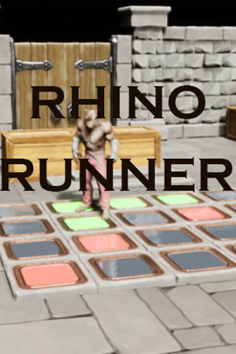 Rhino Puzzle cover art