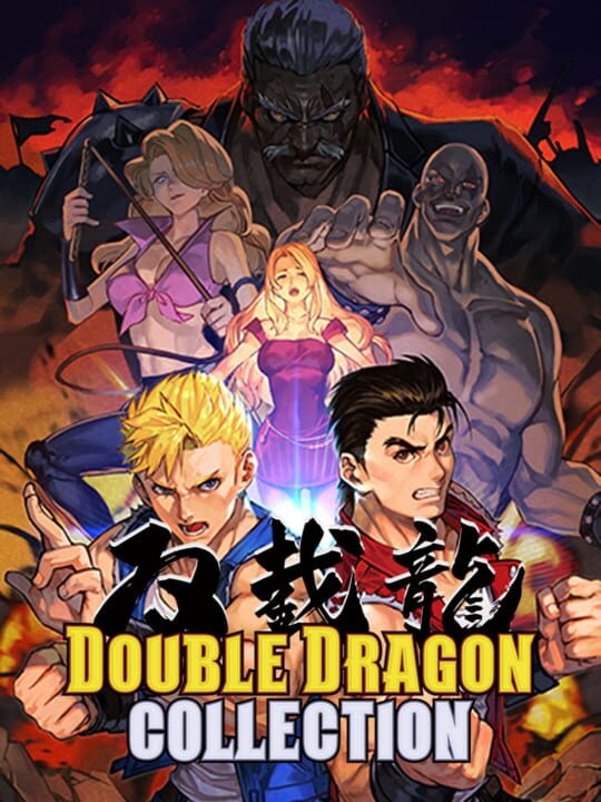Double Dragon Collection cover