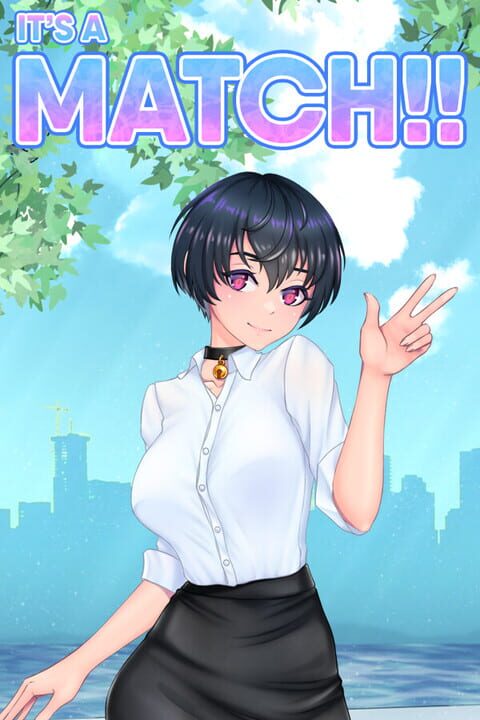It's a Match!! cover art