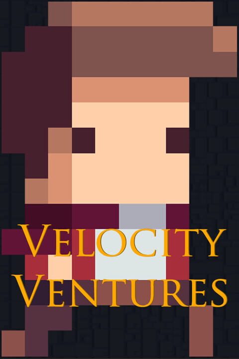 Velocity Ventures cover image