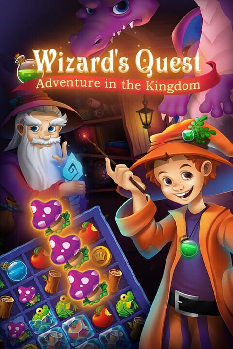 Wizards Quest: Adventure in the Kingdom cover art