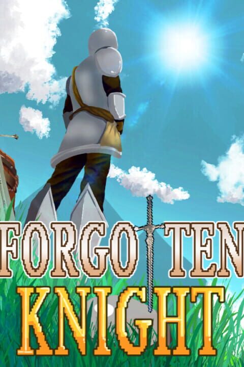 Forgotten Knight cover image