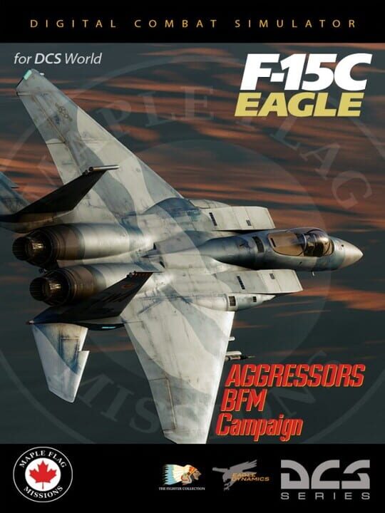 DCS World: F-15C - Aggressors BFM Campaign