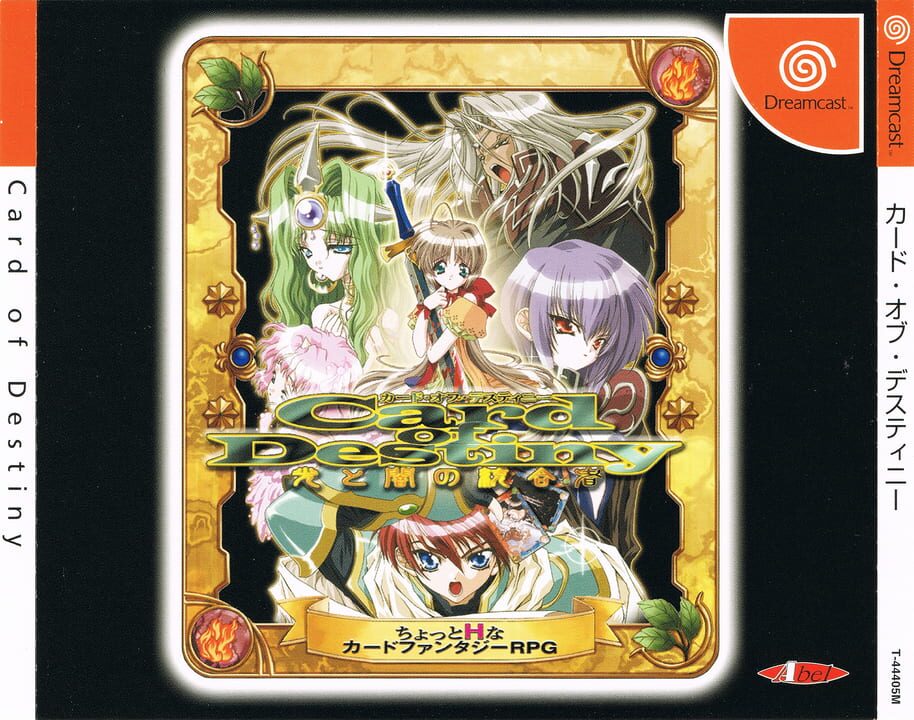 Card of Destiny: Hikari to Yami no Tougousha cover art