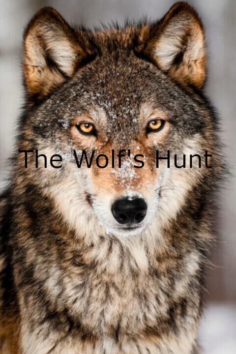 The Wolf's Hunt cover art