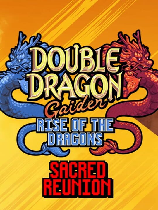 Double Dragon Gaiden: Rise of the Dragons - Sacred Reunion cover