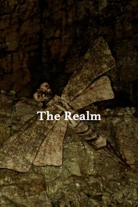 The Realm cover art