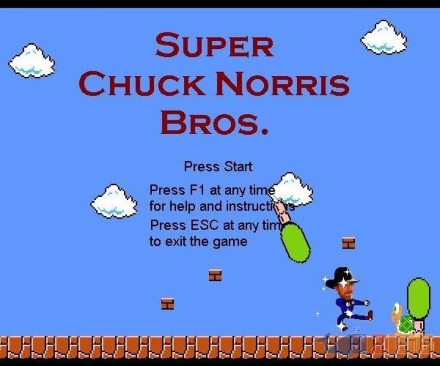 Super Chuck Norris Bros cover art