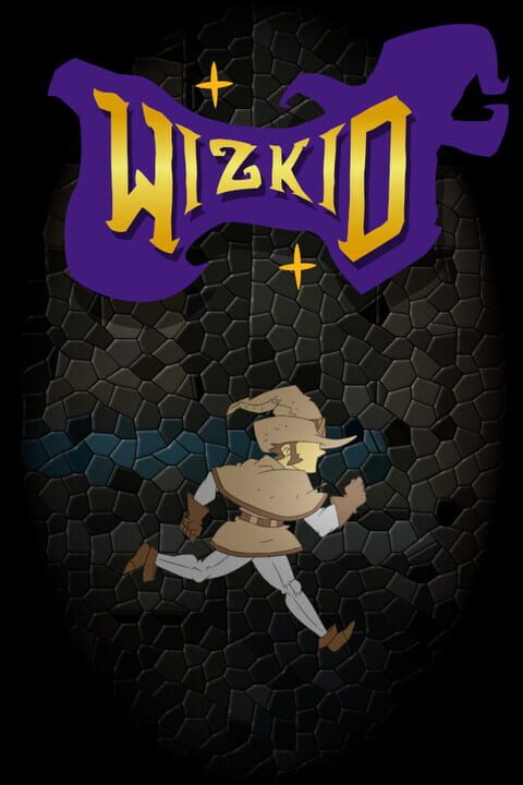 Wizkid cover art
