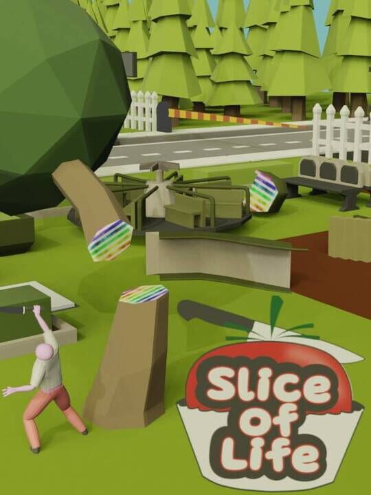 Slice of Life cover art