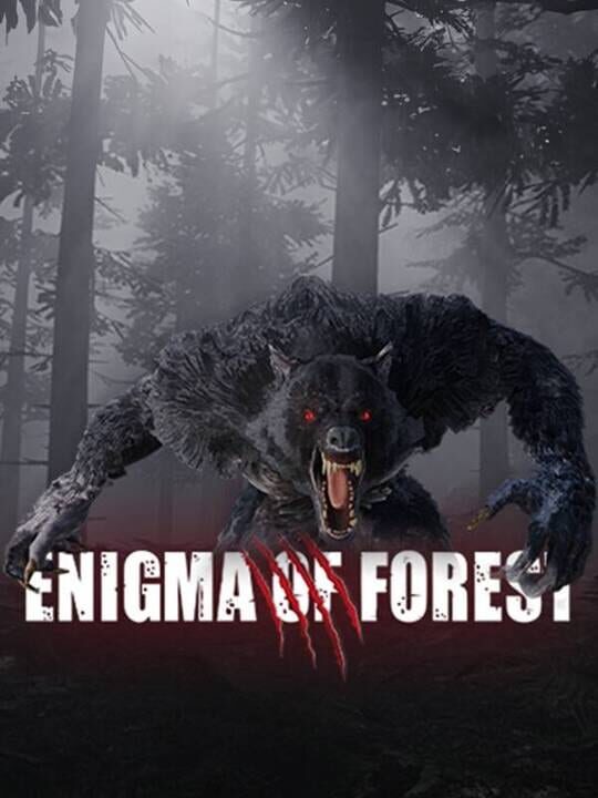 Enigma of Forest cover art