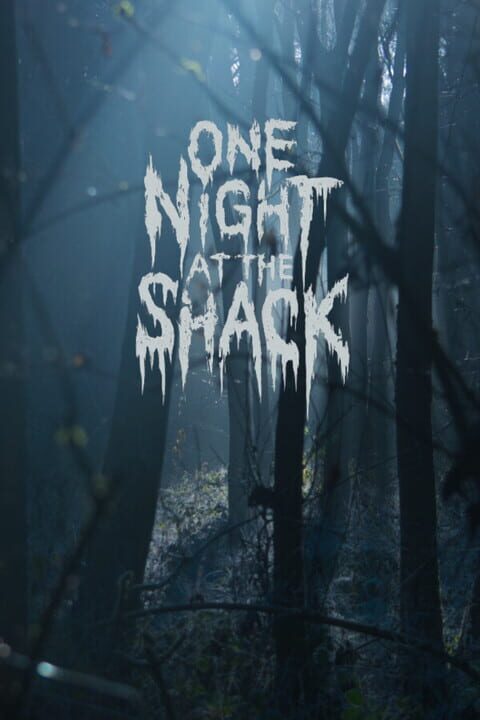 One Night At The Shack cover art