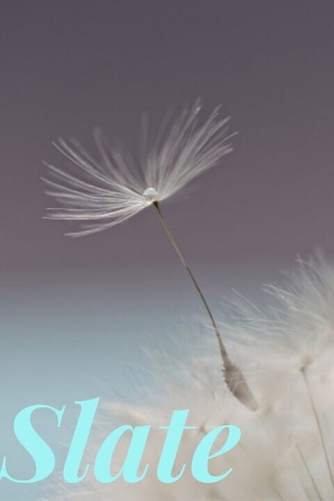 Slate cover art