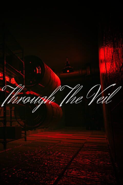Through the Veil cover art