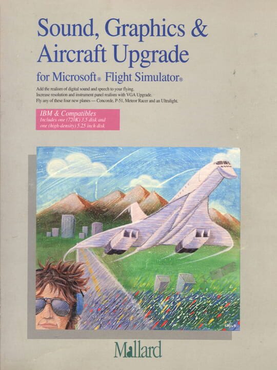 Microsoft Flight Simulator 4.0: Sound, Graphics & Aircraft Upgrade