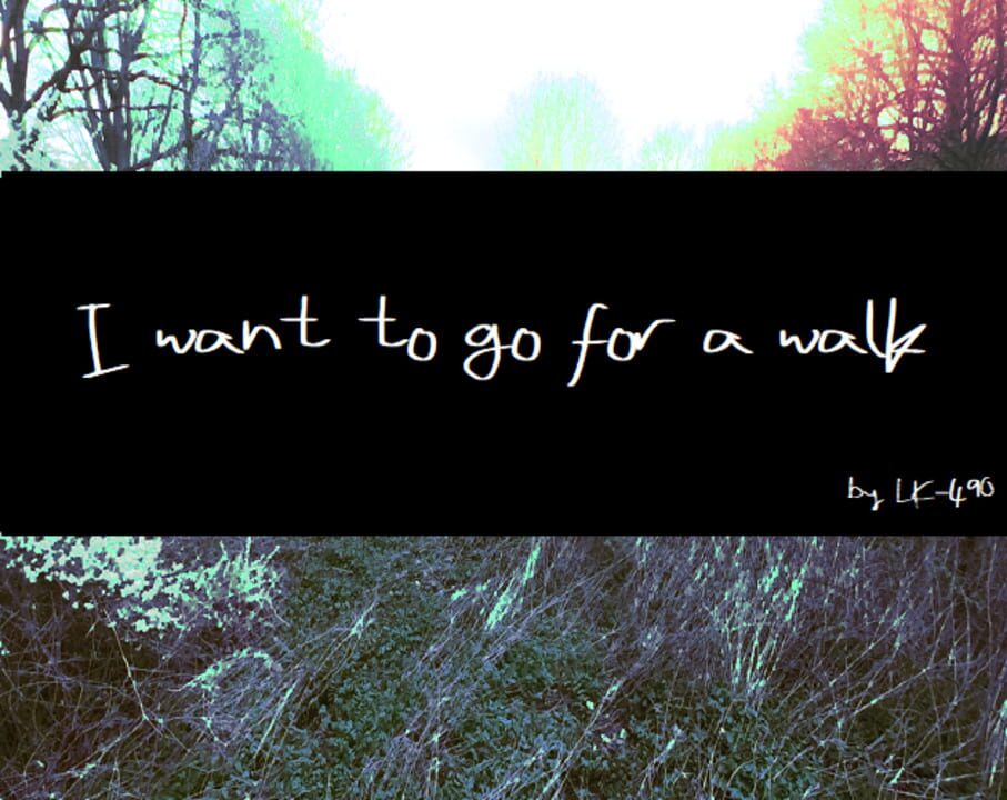 I Want to Go for a Walk cover image