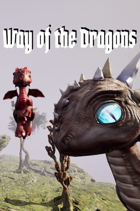Way of the Dragons cover art