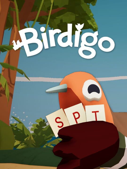 Birdigo cover