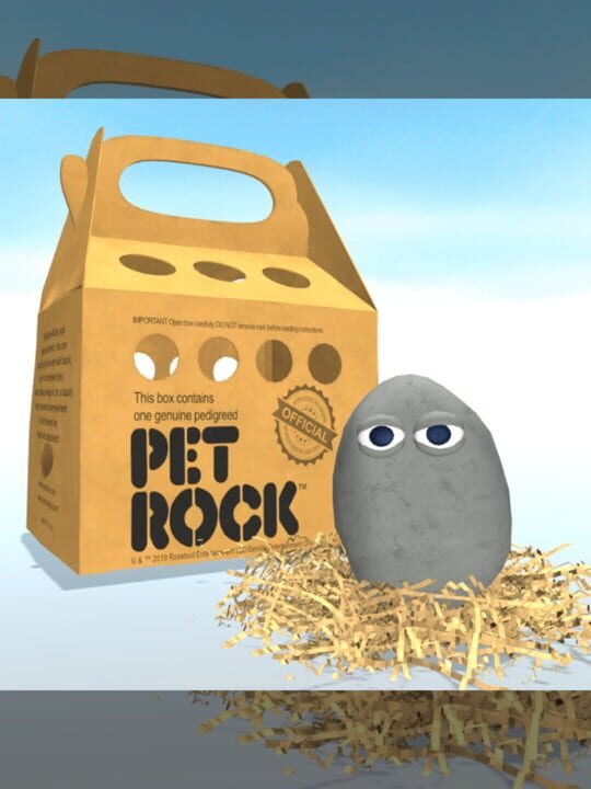 Pet Rock cover